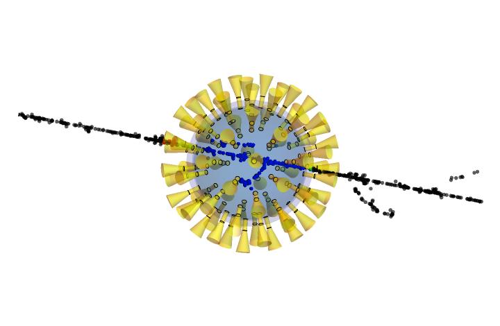 International Association for RadioVirology